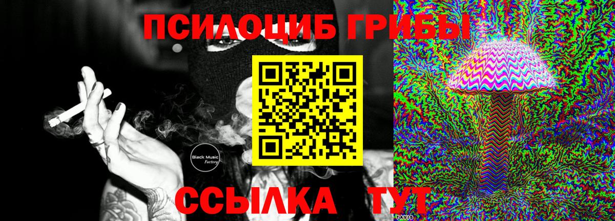 Галлюциногенные грибы мухоморы Нальчик