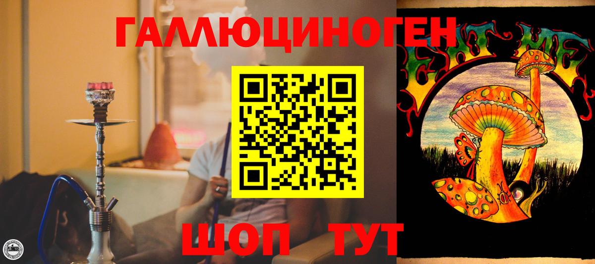 Нальчик  Псилоцибиновые грибы мицелий  Вход с VPN 