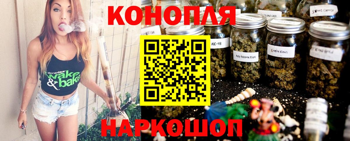 Каннабис планчик  Бошки марихуана индика  Вход с VPN  Нальчик  Конопля конопля 